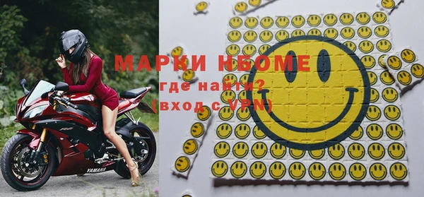 индика Алзамай
