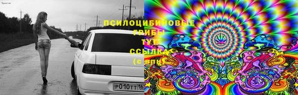 индика Алзамай