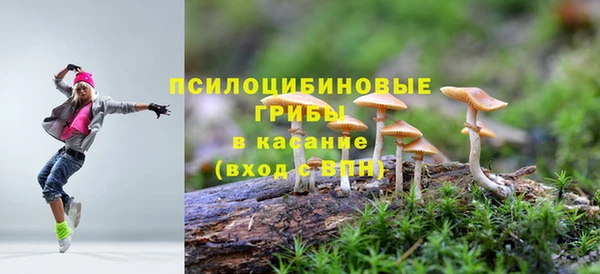 бошки Алексин