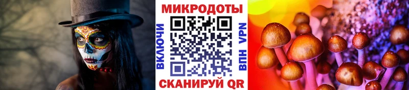 наркошоп  Светлоград  Псилоцибиновые грибы ЛСД 