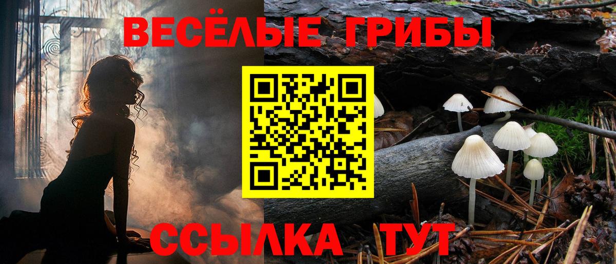 Светлоград  Галлюциногенные грибы Psilocybe  Вход с VPN 