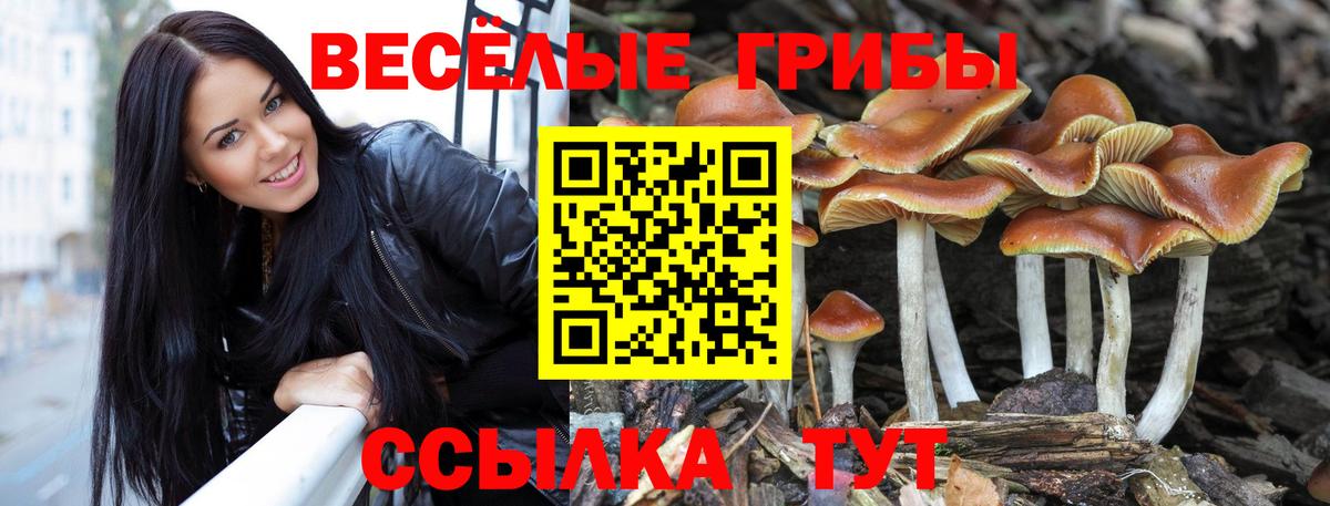 Галлюциногенные грибы мицелий Светлоград